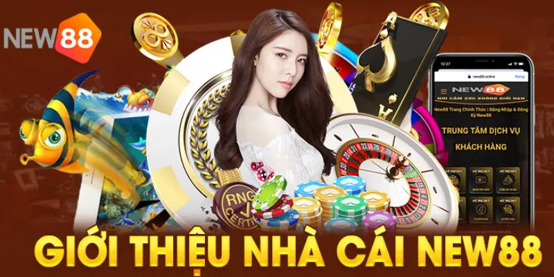 Khám phá những thông tin thú vị về New88